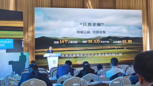 2021西南民族特色文化產業帶發展指南 總投資1960億元，開啟文化產業新篇章