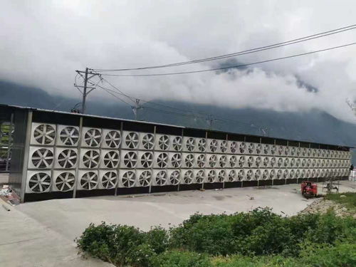 幣圈地震卻 無人傷亡 炒幣者虧100萬也要繼續(xù)買,礦廠借私人電站挖礦