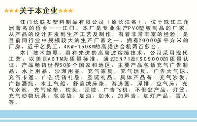 批發(fā)充氣水上產(chǎn)品，廠家直銷質(zhì)優(yōu)價廉